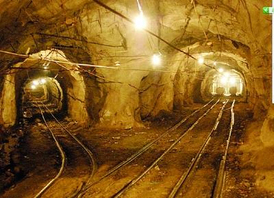 坚决反对华而不实哗众取宠的盆景项目和形象工程 坚持生态?；ぷ匀换指次?></a> </div>
          <dl>
            <dt> <a href=